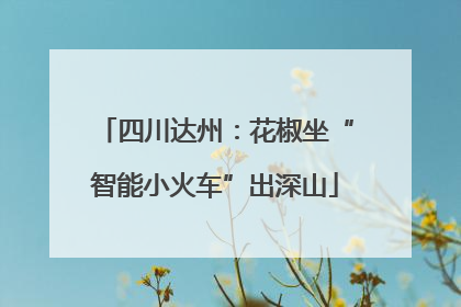 四川达州：花椒坐“智能小火车”出深山